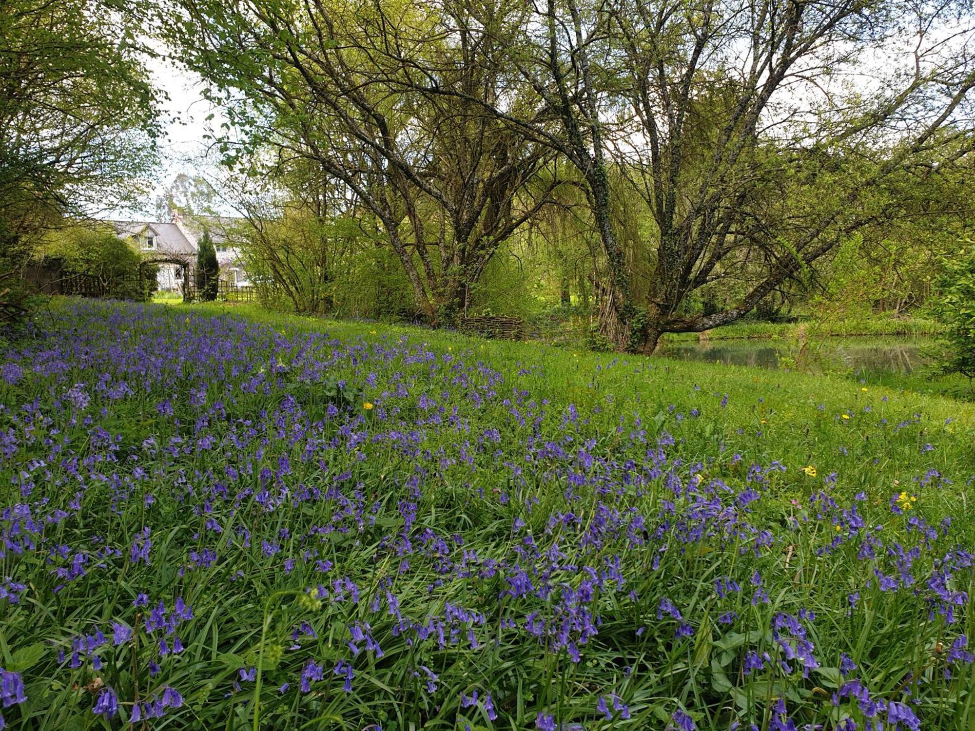Fermette Dans Les Pays De La Loire Villa Izé Exteriör bild