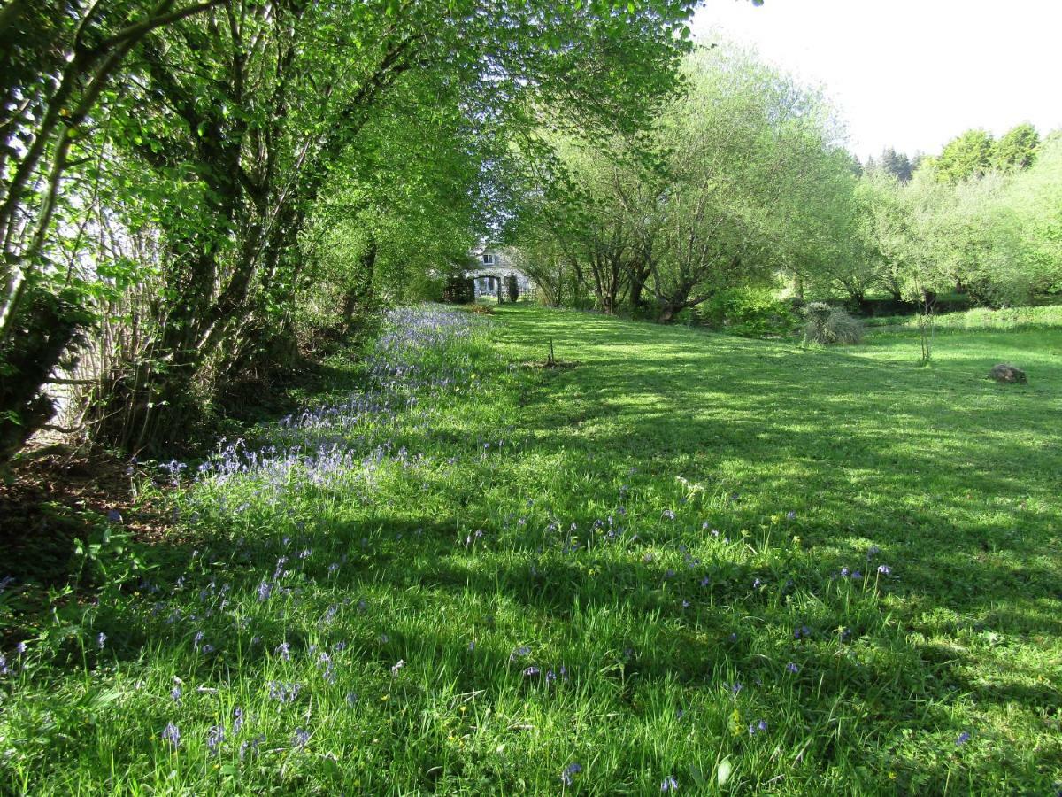 Fermette Dans Les Pays De La Loire Villa Izé Exteriör bild