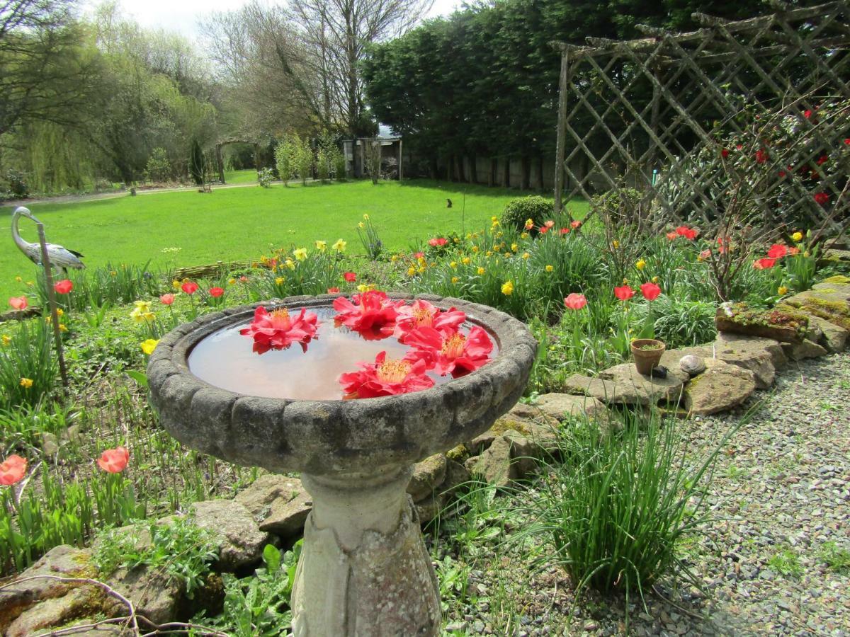 Fermette Dans Les Pays De La Loire Villa Izé Exteriör bild